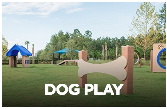 dog park amenities