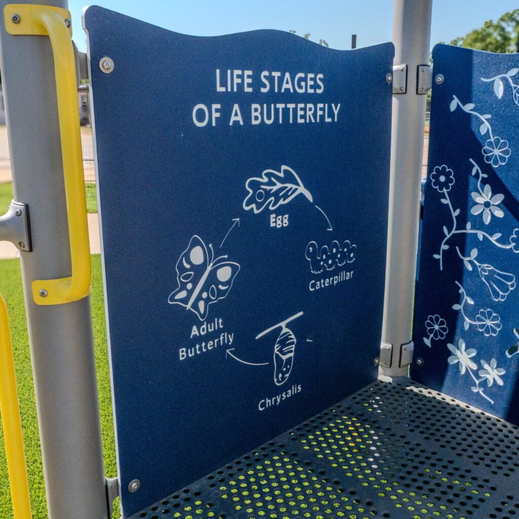 HK Park and Play